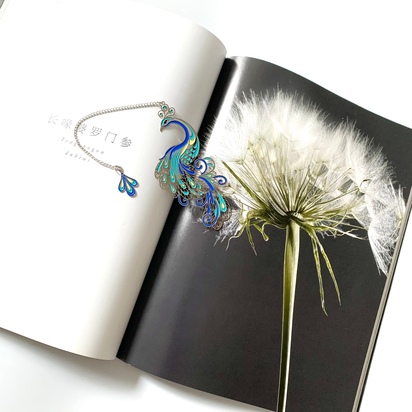 Zllada Colorful Peacock Stainless Steel Hollow Bookmark