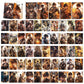 Genshin Holographic 50 Pcs Cards - 50 Anime-Style Collectible Cards for Fans and Gamers - Game-Themed Merchandise - Zllada